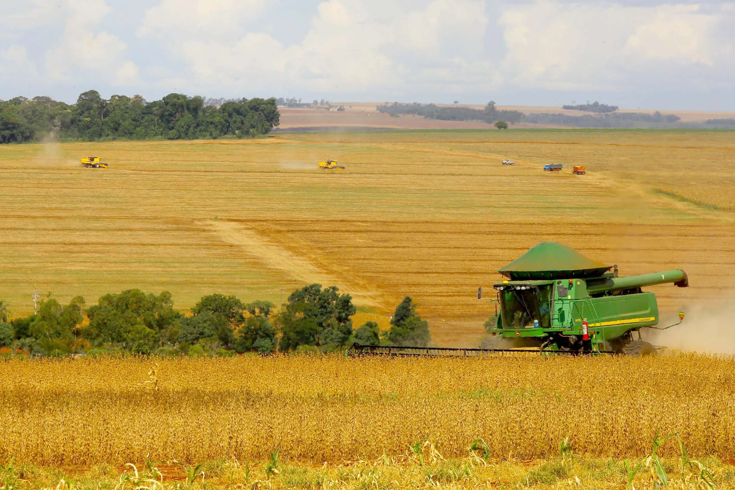 Agricultura paranaense em ação
